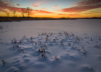 Vibrant colors and sunset light on the shoreline of a frozen marsh.