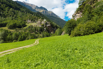 Fototapeta na wymiar Landscape of the Swiss valley at Rossa in the Grisons