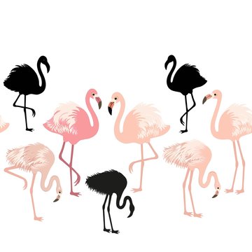 Seamless pattern with pink flamingo birds