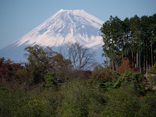 富士山