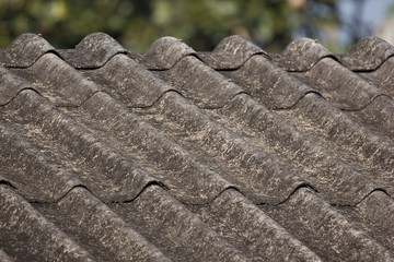  Old Roof Tiles of House