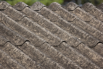 Old Roof Tiles of House