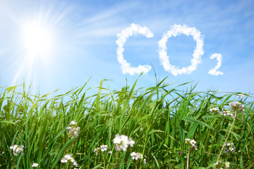 CO2