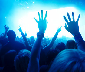 Concert Crowd at rock concert