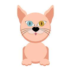Cute cat character