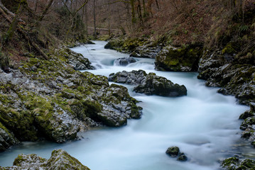 Naklejka na ściany i meble Flowing river, Vintgar Gorge, Slovenia 