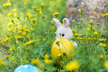 Rabbit Finds Eggs for Easter at Yellow Flower Garden