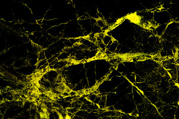 Marble patterned texture background. abstract natural marble gold .gold concept.