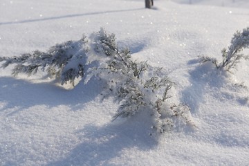 Schnee