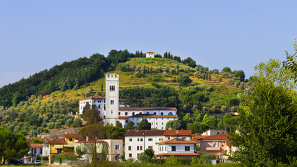 Fototapeta na wymiar Idyllic and scenic landscape - Bell tower, church, field, forest and hill - Tuscany, Italy; tourism, travel, vacation; background.
