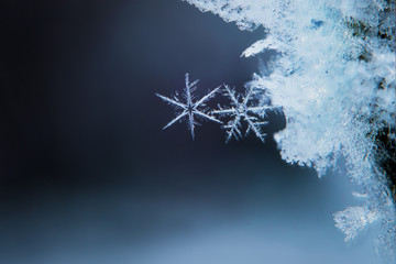 Two snowflakes, macro, winter background. Christmas