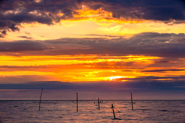 Naklejka na ściany i meble Abstract yellow sky, hidden red sun behind bright blue purple clouds, silhouettes of birds on sticks with wire sticking out of the water. Beautiful colorful sunset on the Black Sea, Sochi, Russia.