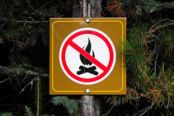A no campfire sign posted on a tree