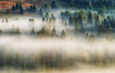 foggy morning. a picturesque autumn dawn in the Carpathian Mountains