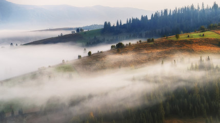 foggy morning. a picturesque autumn dawn in the Carpathian Mountains