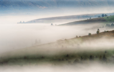 Obraz na płótnie Canvas foggy morning. a picturesque autumn dawn in the Carpathian Mountains