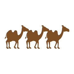 manger camels characters icon vector illustration design