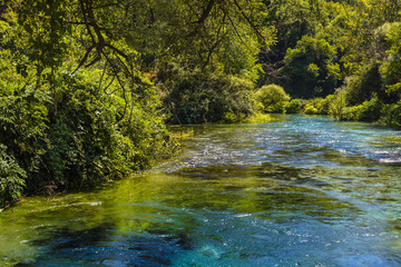 Obraz premium Blue eye spring pot 