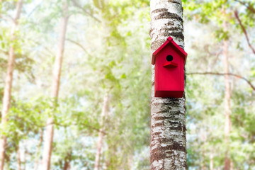 The red birdhouse on a tree in spring forest