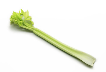 Celery isolated on white background