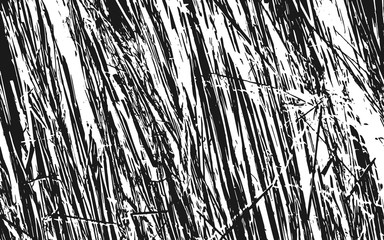 Black and White Grass Silhouette Texture Rustic Background