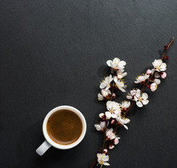 Cup of coffee and spring  flowers  on black slate background .