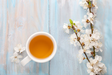 Fototapeta na wymiar Cup of tea and branches of blossoming apricot on old wooden shabby background.