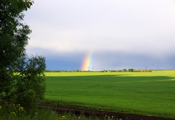 summer landscape with bright pieces double rainbow down on green field and far on the horizon