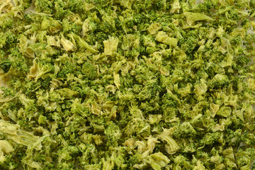 Close up of broccoli with severe freezer burn and dehydration due to improper storage or packaging or forgotten in back of freezer for lengthy time