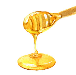 Honey with honey dipper closeup isolated on white background, watercolor illustration