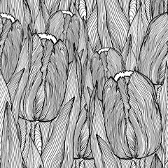 hand-drawn tulip flowers background - obrazy, fototapety, plakaty