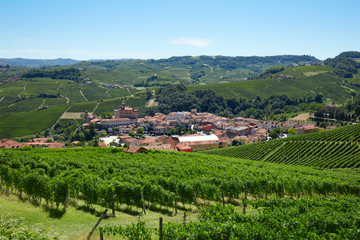 Fototapeta na wymiar Barolo medieval town on Langhe hills in Italy, vineyards view in a sunny day