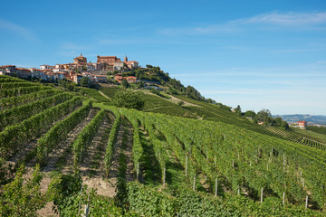 Fototapeta na wymiar La Morra town in Piedmont, Langhe hills with vineyards in Italy in a sunny day