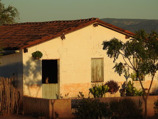 waiting in the window
