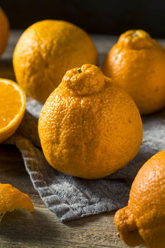 Fresh Raw Sumo Oranges