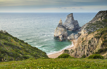 sea view to beach with rocks and green hills in flowers in Portugal