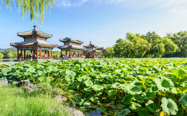 Fototapeta na wymiar The Mid-lake Pavilion and a pond of lotuses. Located in Chengde Mountain Resort. It is a large complex of imperial palaces and gardens situated in the city of Chengde in Hebei, China.