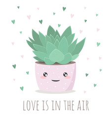 cute house plant in flower pot