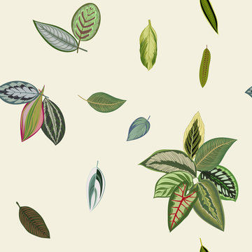 Tropical print. Seamless pattern. Vintage organic leaves.