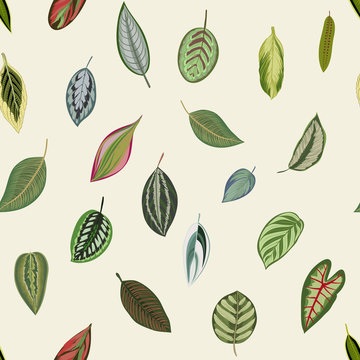 Vintage botanical leaves. Tropical print. Vector seamless pattern.