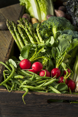 Raw Organic Spring Farmers Market Box