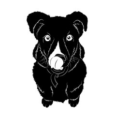 Векторный рисунок - чёрный силуэт щенка