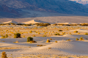 Dawn on Mesquite Dunes in Death Valley