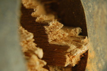 macro, makro, fokus, zoom, 