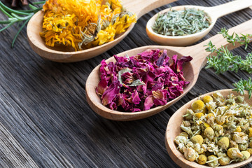 Herbs on spoons on a wooden background with copy space
