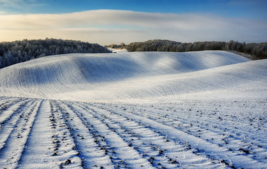 Fototapeta na wymiar winter field. a picturesque winter morning on a hilly field