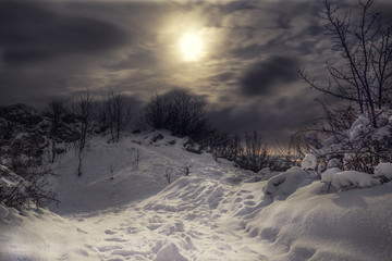 Snowy and frozen Top of hill with cloudy night sky and moonlight with city lights on the background.  Forest in Slovakia on the mountain covered with snow.