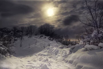 Foto op Plexiglas Snowy and frozen Top of hill with cloudy night sky and moonlight with city lights on the background.  Forest in Slovakia on the mountain covered with snow. © Matt Benzero