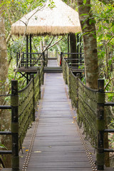 A long suspended wooden bridge in the forest park YaNoDa