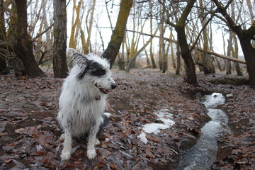 Exploring Washington State, The Pacific Northwest